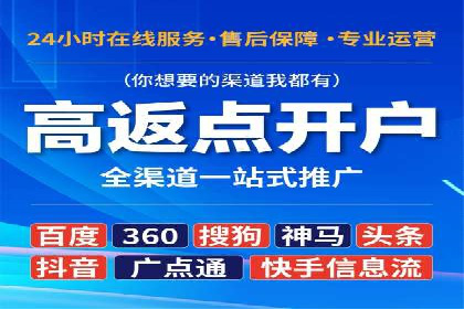 百度竞价策略成功案例：如何做到日赚千元